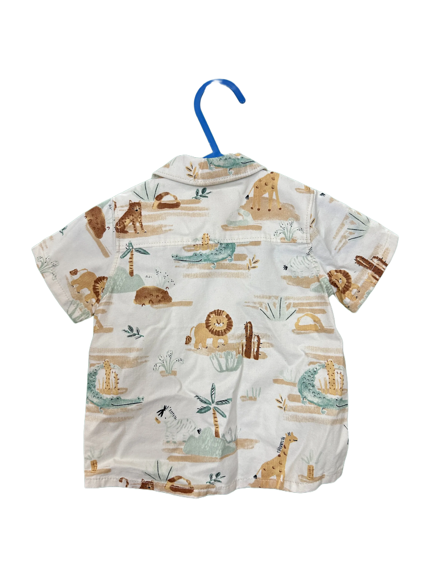 Baby boy shirt and shorts set
