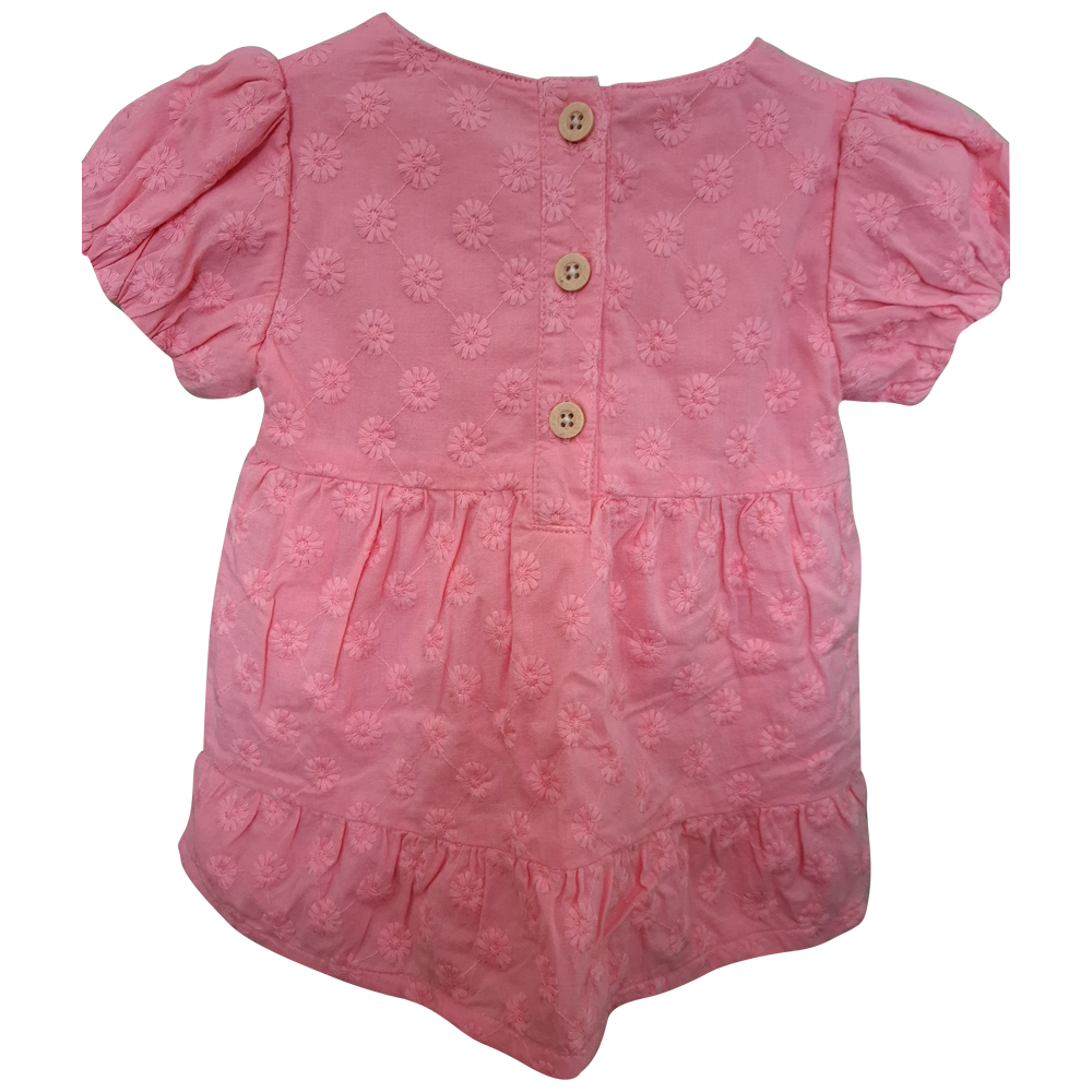 Baby Girl's Fully Lined Short Sleeved Dress