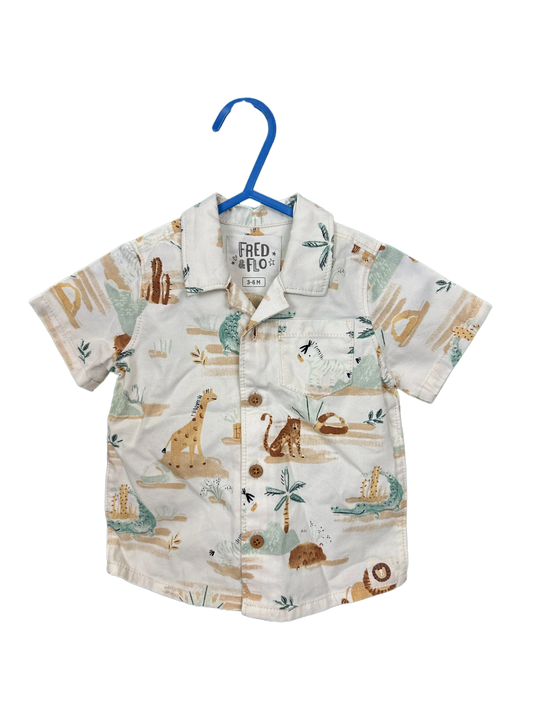 Baby boy shirt and shorts set