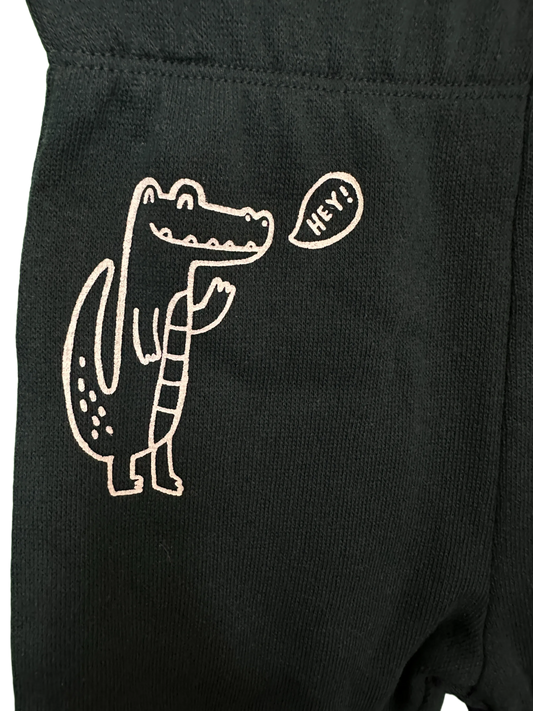 Baby boy's joggers with Dino motif
